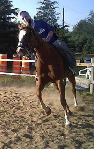 Tien!Cavaliero.Je croi qu'il veut ce lancer dans une nouvelle...