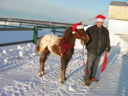 les bonets son à la mode pour quelques jours encore