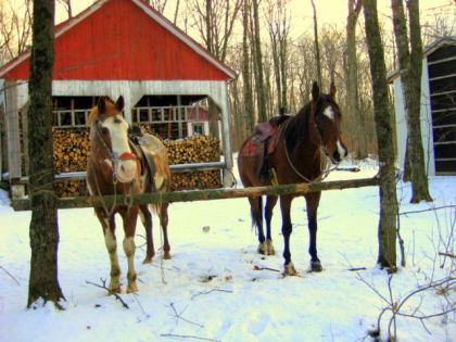 une petitee pause à la Cabane! :D