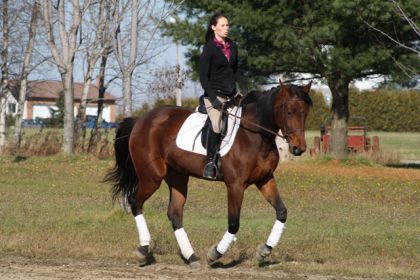 Un beau galop avec ma jument! Pas facile, mais on a réussi!