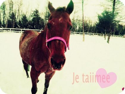 photo par Topgone Lucky, il est beau en rose non ? :-)(l)