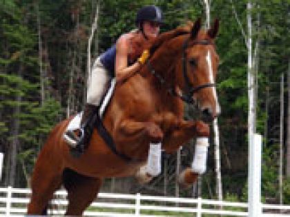 Cavalière qui saute un obstacle à cheval