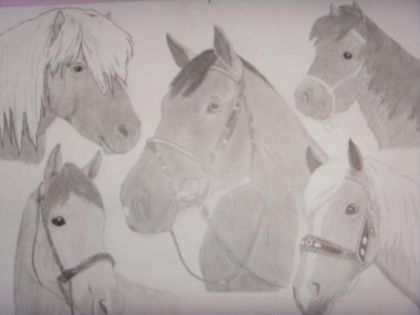 dessin à la mine de plusieurs chevaux