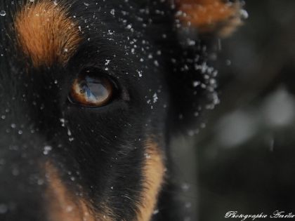 photo par SnowBall