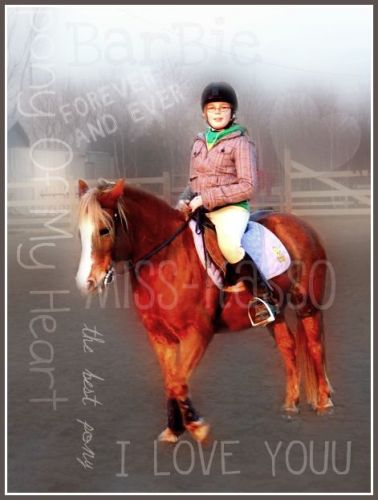 montage fais par miss-kasso