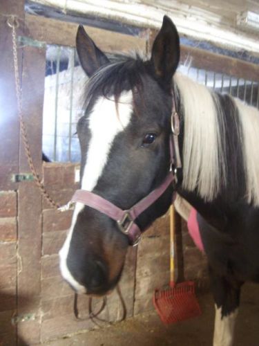Encore Satine !&#9829;