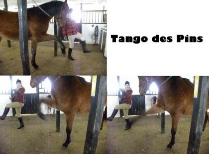 un petit moment de fun avec mon poulain