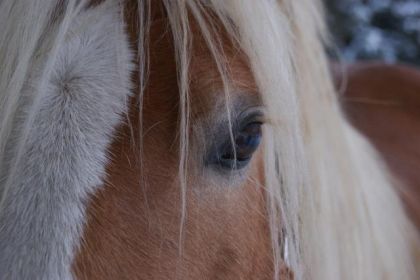 J'ai toujour voulu cette fameuse photo du regard de mon...