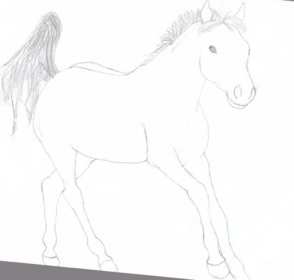 un cheval que j'ai dessiner xD