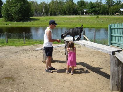 Je ne dresse pas que des chevaux,je suis aussi dompteur de...