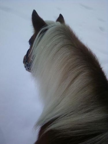 Je taime pinotte ! :) 