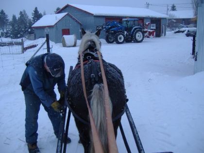 mon père qui fait les dernières ajustements avant notre départ!