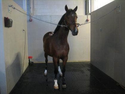 photo par Alyssaaa Ahah Pauvre petit !!
