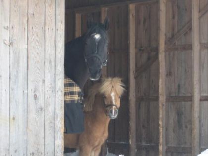 photo par Alyssaaa Darwin & Minigo