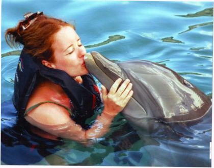 Moi qui nage avec les dauphins aux Bermudes WOW TROP HOT
