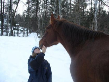 Sur cette photo ce n`est pas la belle et la bête c`est la belle...