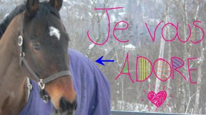 Mon petit montage !