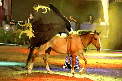 Une photo de mon cheval et du spectacle que j'ai fait à...