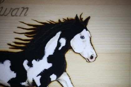 Cheval pie