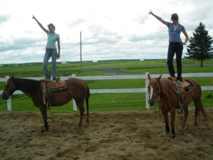 Personnes debout sur le dos de leur cheval
