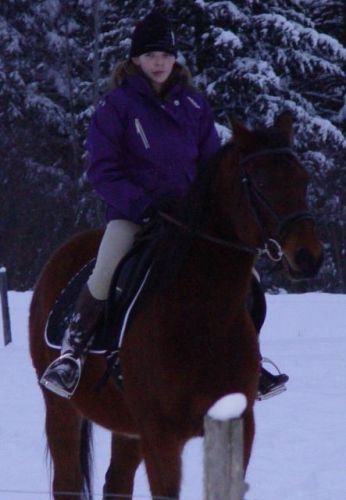 Prince Et Moi Le 25 decembre,Ma Selle Est Formidable et Le...
