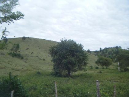 vue que on n'avais a Cuba quand on est aller faire du cheval :)