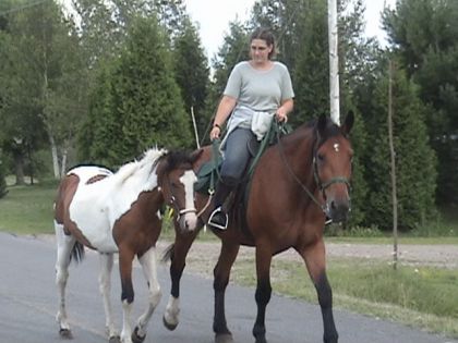 2e sortie accompagner pour sedna ( plus tard dans la ride, elle...