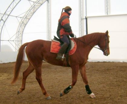 jument alezanne au trot