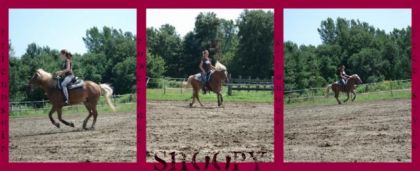 Voici moi et mon cheval :)