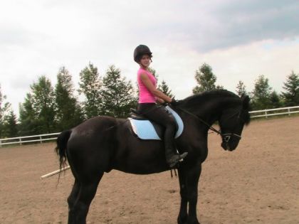 Moi et Miracle, mon cheval de demi-pension(première monte avec...