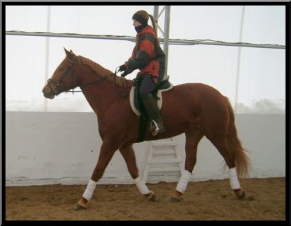 Moi et Shelby en manège! :)