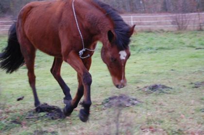 photo par Manouchka