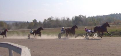 course de sulky!!!