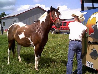 Notre ami Cowboy ( Jimmy Grenier) s'est payé une belle petite...
