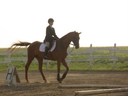 moi && Noisette