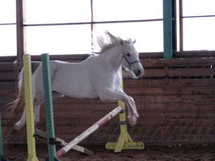 Youpiiii! I can fly over the jump! BBfat dimanche pass&eacute; arabe de...