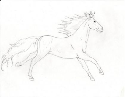 Lullaby, cheval imaginé par le membre Chloém, je lui dessine....