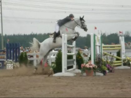 Participant au concour de Breakeyville...magnifique cheval...