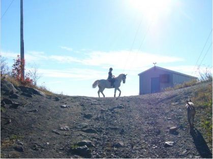 Au sommet de la montagne de Rougemont avec un cheval que j'ai...