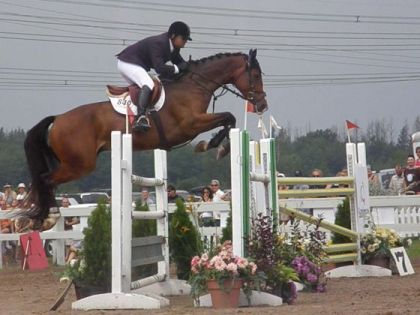 Sur le gros oxer au grand prix de Breakeyville!