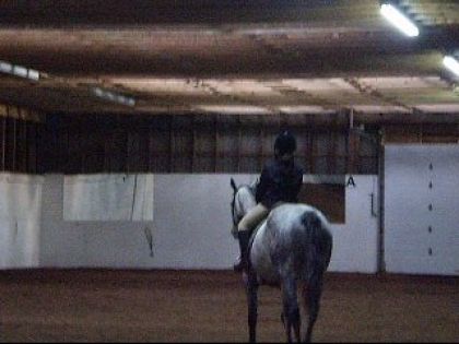 photo par Matou