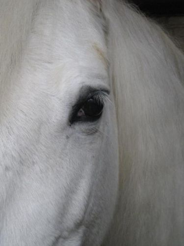 Lola :) J'adooooore cette photo