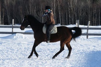 Un peu de sans selle pour pratiquer l'assiette