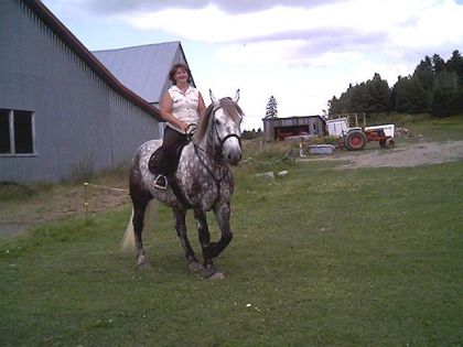 Josée a fait plaisir à tous en participant avec le beau Silver