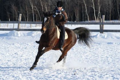 :) Galop sans selle dans un tournant serré décidé par monsieur...