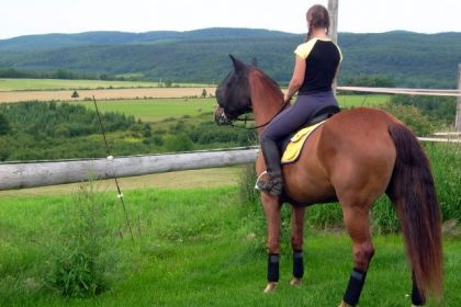 Jolly qui regarde les beaux champs à St-Tite aux jeux équestre!...