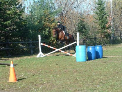 Mia 2008(d&Eacute;BUT DE SAUT)