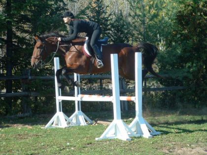 Mia et moi a ses d&eacute;but a l obstacle (2008)