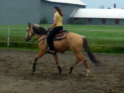 mon sunny qui passe du classique au western...pas facile^^