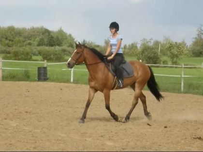 Un beau trot...belle engagement des postérieurs!